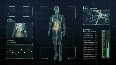 Analysis of Human Male Anatomy Scan on Futuristic Touch Screen Interface showing bones, organs, and neural network activity. Concept: In the Near Future of Medicine and Healthcare.