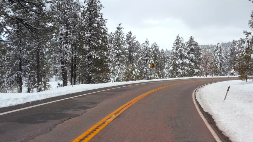 Dixie National Forest -  Highway 12 Scenic Byway, USA
