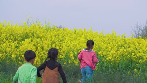 three little cute children walking toward the rape flowers happily briskly with pink dressed girl walking in front brown dressed girl walking in the middle and green sweater boy behind in spring day  