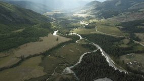 mountain river. fast stream water. Russia Altai