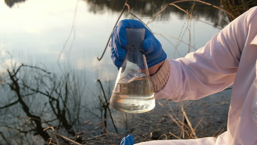 A scientist examines the contents of a flask of water from a local pond close up