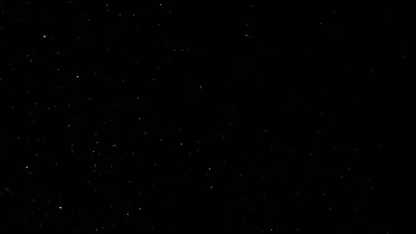 Natural Organic Dust Particles Floating On Black Background. Dynamic Dust Particles Randomly Float In Space. Shimmering Glittering Dust Particles With Bokeh. Royalty-Free Stock Footage #1027082465