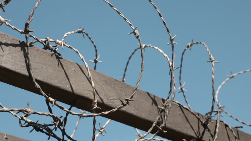 Barbed Wire on blue sky. Concept of the refugees
 Royalty-Free Stock Footage #1027100750