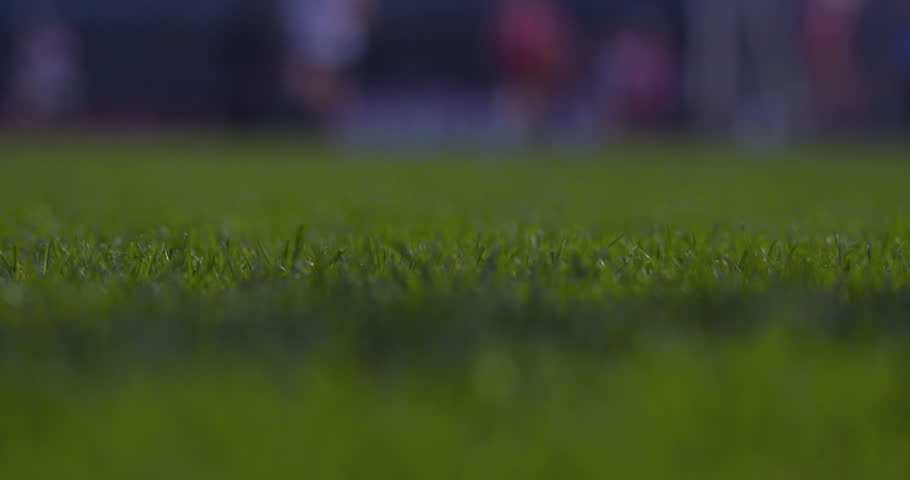 Hurling ball on grass sliotar Gaelic Irish field game sport stadium 
