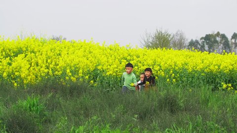 One boy and two girls are running happily in clusters of lush grass in the field with tall yellow rape flowers behind, the boy and one girl carring a bunch of rape flower each in hand.