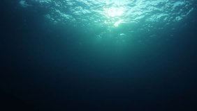 Underwater blue background video in sea with sun in ocean	 