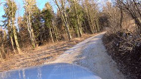 Off road car driving on a forest road at sunset. Point of view video