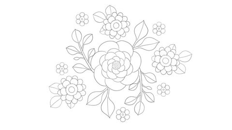 2D hand drawn animation, growing floral background with outlines of flowers and leaves. Frame by frame. Blooming pattern, outline. 4k looping animation.