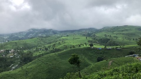 atmosphere kebun teh