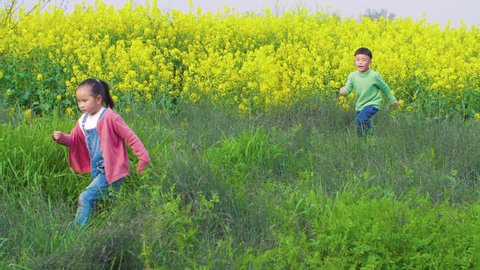 little Asian pink coat dressed girl walking in the grass with green sweater dressed boy running behind the rape flowers with wind blowing his hair in front of the rape flowers in a spring day.