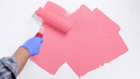 Caucasian house painter worker in white overalls, with the roller painting the wall with painting pink. Construction industry. Footage.