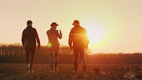 Three farmers go ahead on a plowed field at sunset. Young team of farmers