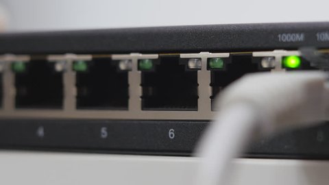 Male Hand Inserts The Grey Data Cable Into The Gigabit Network Switch.
