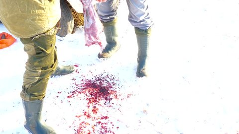 Two men butchering a rabbit carcass in the snow, pulling out all the insides of the rifle.