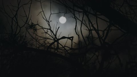 Rack focus to a spooky full moon on a foggy night