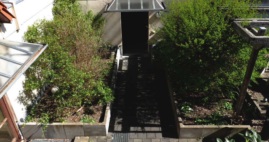 Backyard Trees and Walkway in Time Lapse