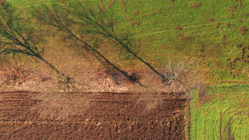 A close, aerial right-to-left clip above a small row of trees in a field.