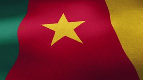 The Cameroon national waving flag. - Powered by Shutterstock - Get 15% off with code: PIKWIZARD15