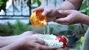 Video slow-motion / Close-up Pour water on the hands of revered elders and gives blessing in Songkran day Thailand