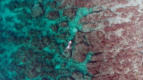 aerial birds eye view of man snorkeling at a reef