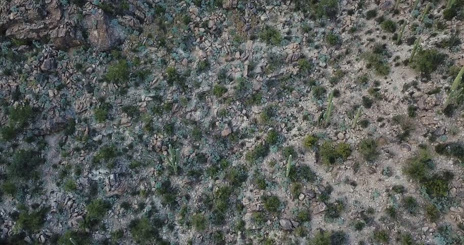 Straight down aerial visual of the Sonoran Desert