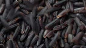 Closeup asian black riceberry, Uncooked products by organic natural food concept, Top view, Slow Motion footage