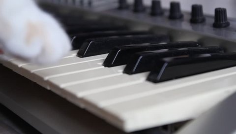 close up of the white cat's paws playing the keys