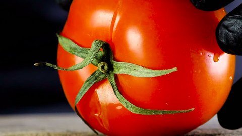 Tomato cutting closeup