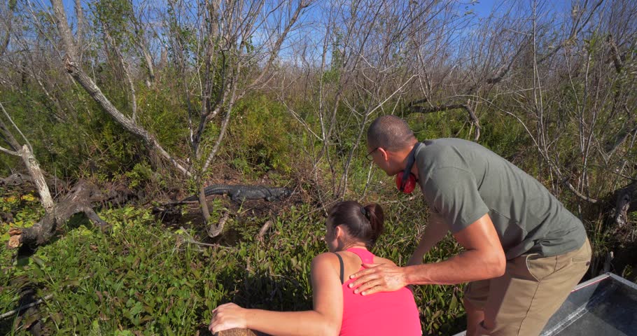 Couple Pointing Out Alligator, Everglades Tour, Slow Motion