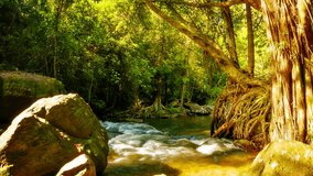Phnom Kulen National Park. Cambodia. FullHD stock footage with natural sound