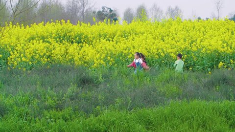 Tow girls--one of them in pink coat and a sun-top jean, the other in yellow sun-top and black shirt and a boy in green sweater and a blue pant have fun in the field with rape flowers and trees behind.