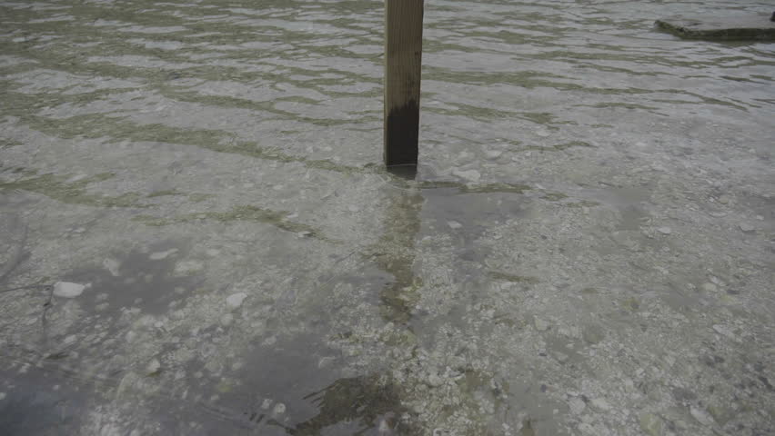 Rising up to a wooden keep out sign on a lake