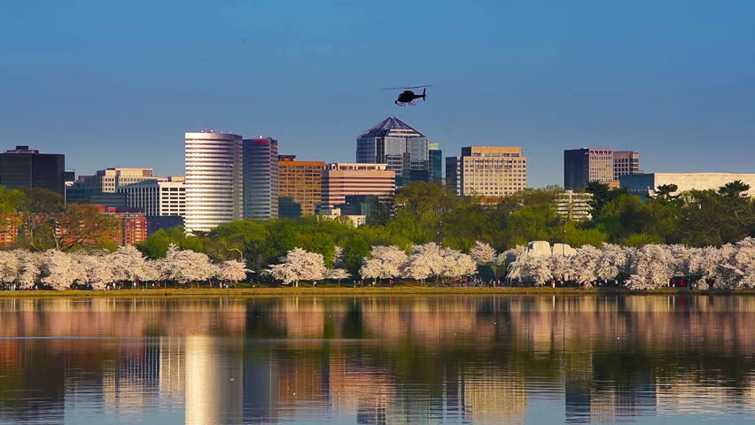 ARLINGTON-VIRGINIA Footage, Videos and Clips in HD and 4K - Avopix.com