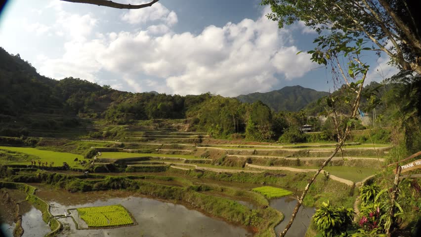 Beautiful wide shot timelapse video of a rice terraces in the philippines . Colorful green grass, silver line clouds hovering on blue skies . Noon time farmer hustle
