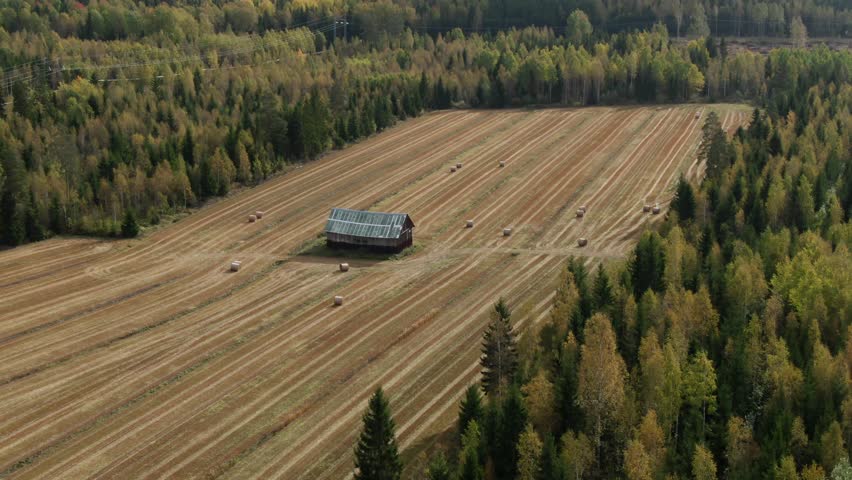 Autumn Field from sky. Rotation around the barn in the middle of the frame.