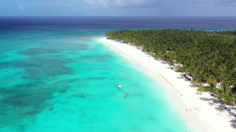 Aerial view from drone on tropical island with coconut palm trees and turquoise caribbean sea. Saona Island. Dominican Republic