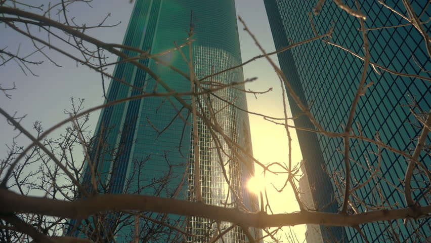 Sun rays through tree branches in the city with skyscrapers high rise commercial building background. Nature in town. Sunlight through buildings and trees. Sunbeams in Downtown Los Angeles. 