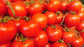 Perfect ripened tomatoes close up video. Lots of organic tomatoes. Tomatoes stall at the market. Healthy vegetables shop.