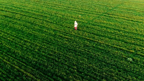 Farmer walking green field in spring aerial video at sunset. Agriculture industry concept, organic farming, growing wheat. Green field ripening at spring season, agricultural landscape