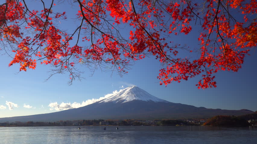 mt fuji red maple tree autumn Stock Footage Video (100% Royalty-free ...