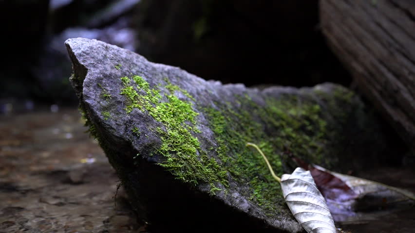Beautiful Slow Motion Shot of a Rock with Moss on it Sitting in a Creek.