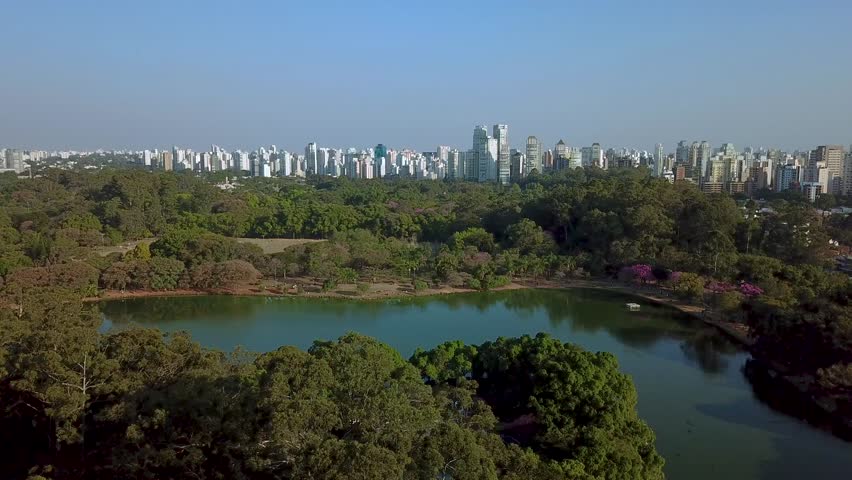 Aerial view. Sao Paulo from the Atlantic rainforest in Serra da Cantareira state park. Sao Paulo city skyline. Brazil, South America