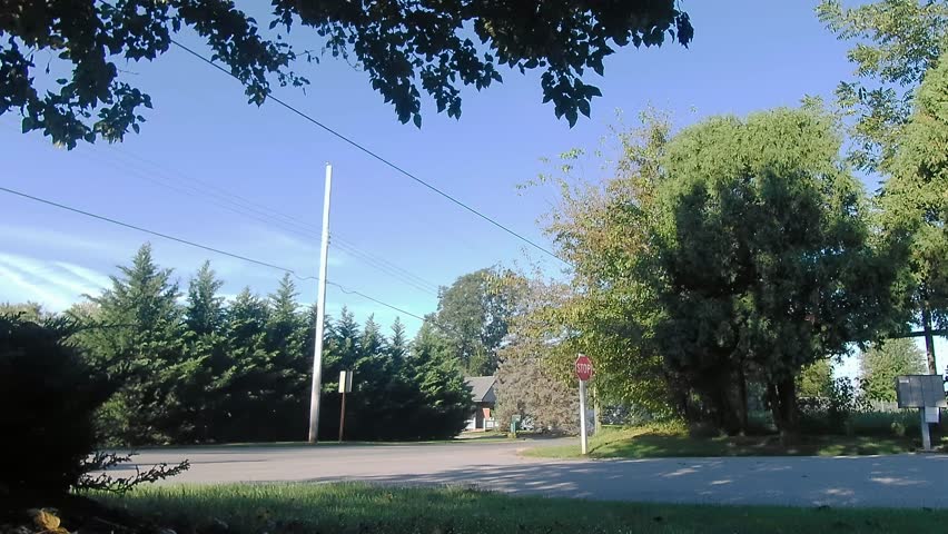 Amish Horse and Buggy going down the Road
