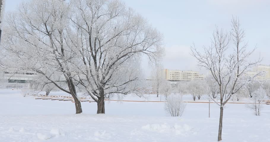 Alley and benches in a snowy city park