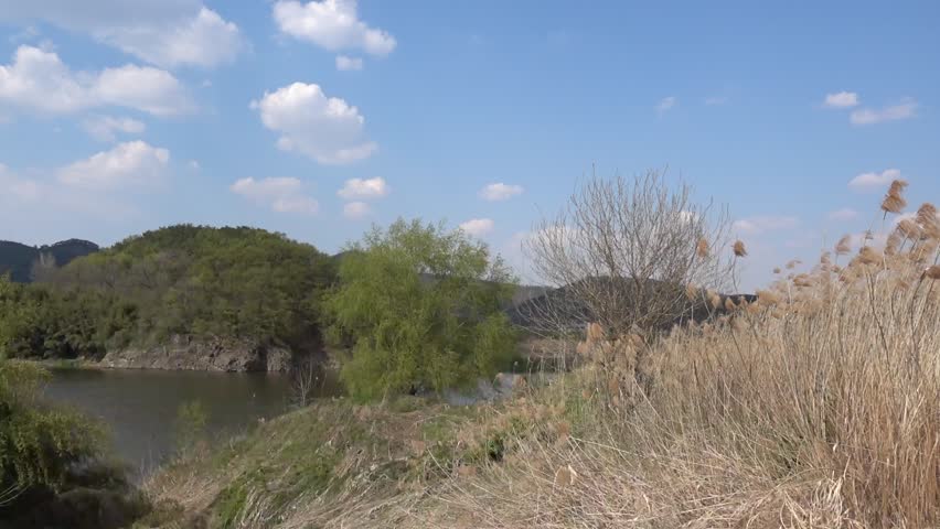 landscape of wetland