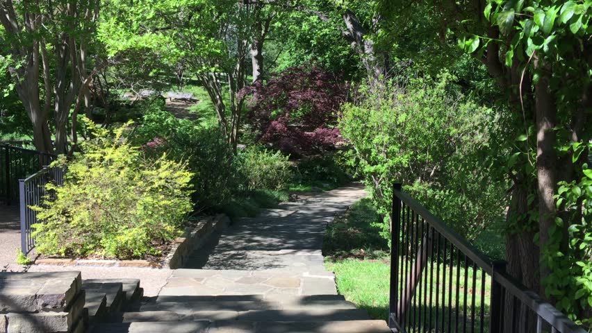 Strolling through foliage in the park