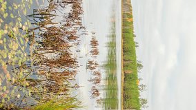Vertical video. Low clouds over the marshy pond. Autumn, Russia. Time Lapse
