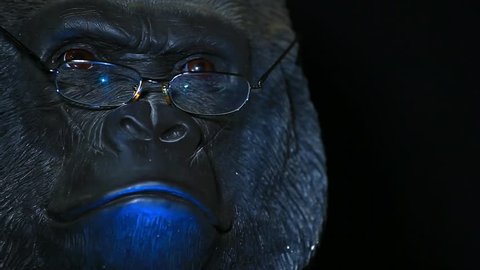 gorilla head glasses