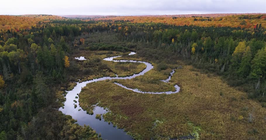 Aerial rising up above the vivid fall colors in the Upper Peninsula of Michigan. Shot tilts down to focus on the river below. Ottawa National Forest in October, 2018.