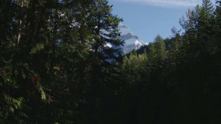 Aerial - Drone Tree Reveal of Big Mount Robson in Canadian Rockies British Columbia